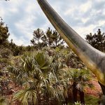 Parque dos Dinossauros - Aventura Jurássica