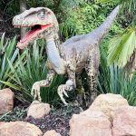Parque dos Dinossauros - Aventura Jurássica