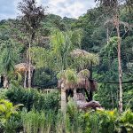 Parque dos Dinossauros - Aventura Jurássica