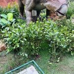 Parque dos Dinossauros - Aventura Jurássica
