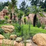 Parque dos Dinossauros - Aventura Jurássica