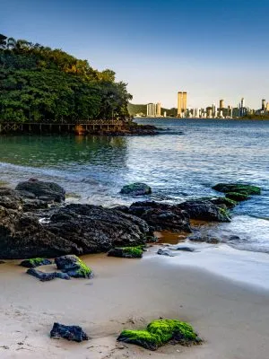 SecturBC - Balneário Camboriú-SC